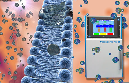 Permeable coating measurements to improve paper and card quality 