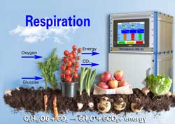 Controlling transpiration and respiration rates dramatically increases the shelf life of fruit and vegetables