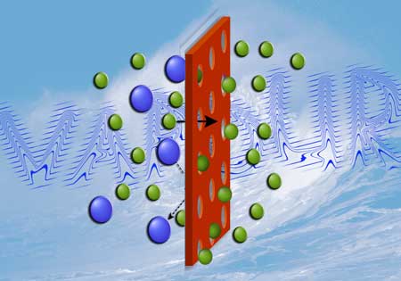 Vapour permeability of biomaterials