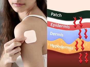 The vapour permeability of transdermal patches