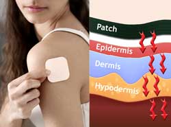 Vapour permeability of Transdermal patches