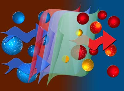 Vapour permeability barriers and molecules