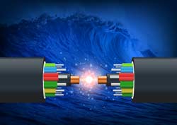 Vapour permeability causes spectral shifts and fatigue in optical fibres